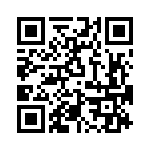 T38413-09-0 QRCode