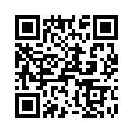 T38417-02-0 QRCode