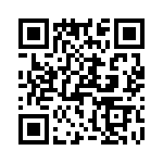 T38423-08-0 QRCode