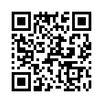 T38423-10-0 QRCode