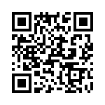 T38425-09-0 QRCode