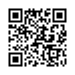 T38427-02-0 QRCode