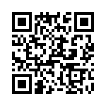 T38427-10-0 QRCode