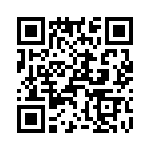 T38430-03-0 QRCode