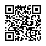 T38432-25-0 QRCode