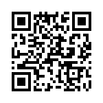 T38433-14-0 QRCode