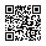 T38438-24-0 QRCode