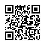 T38448-10-0 QRCode