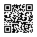 T38460-03-0 QRCode