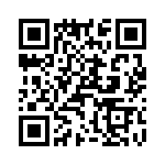 T38512-08-0 QRCode