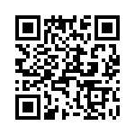 T38512-15-0 QRCode