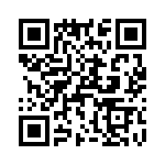 T38513-09-0 QRCode