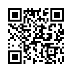 T38513-11-0 QRCode