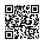 T38513-16-0 QRCode