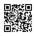 T38517-13-0 QRCode