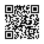 T38517-17-0 QRCode