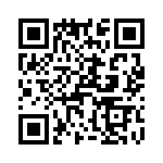 T38528-01-0 QRCode