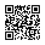 T38531-02-0 QRCode