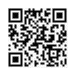 T38532-07-0 QRCode