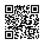 T38532-10-0 QRCode