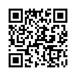 T38533-13-0 QRCode