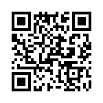 T38537-08-0 QRCode