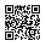 T38538-03-0 QRCode