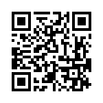 T38538-04-0 QRCode