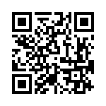 T38560-09-0 QRCode