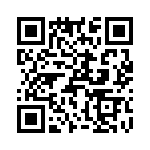 T38561-25-0 QRCode