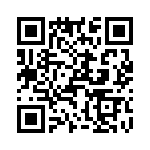 T38562-22-0 QRCode