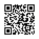 T38563-12-0 QRCode