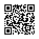 T38567-22-0 QRCode