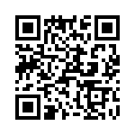 T38567-25-0 QRCode