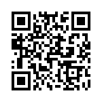 T40304520000G QRCode