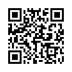 T51101500000G QRCode