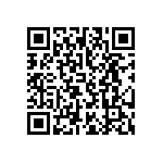 T55B336M6R3C0200 QRCode