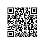 T86E336K025EASS QRCode