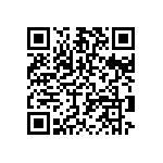 T95S684K025EZSL QRCode