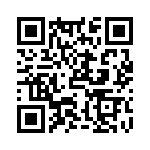 TS360T33IET QRCode