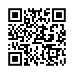 TT1341500000G QRCode