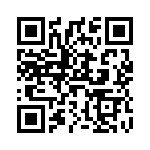 V10E11P QRCode