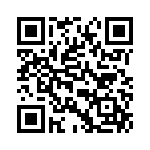 V110A15T300BN3 QRCode