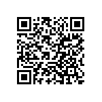 V110A3V3C200BG2 QRCode