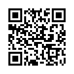 V110C28H100B2 QRCode