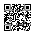 V20E95P QRCode