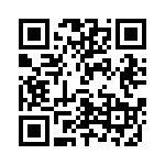 V20P17AUTO QRCode