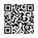 V24B24T250BS QRCode