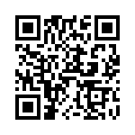 V24C28T100B QRCode