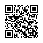 V300B2T100B3 QRCode